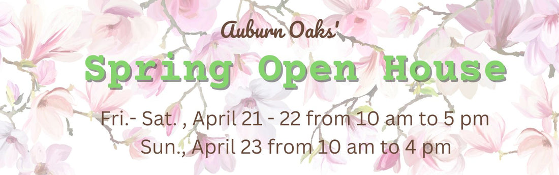 Spring Open House