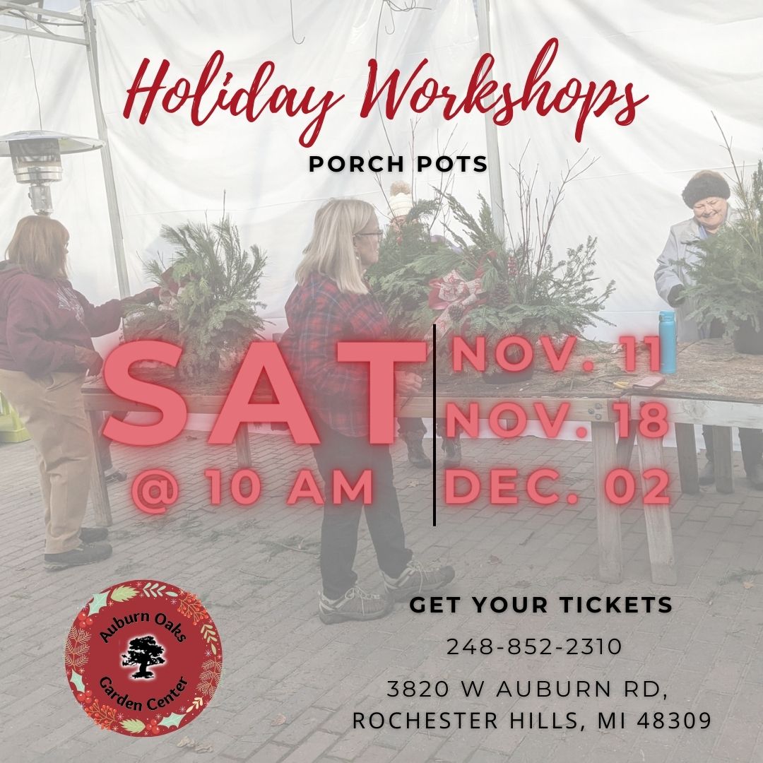 Holiday Workshop- Create a Unique Porch Pot