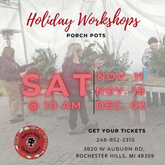 Holiday Workshop- Create a Unique Porch Pot