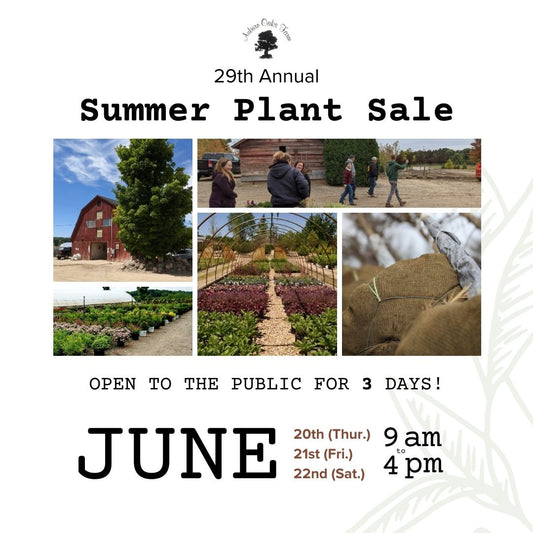 Summer Plant Sale @ the Farm in Fenton, MI