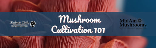 Mushroom Cultivation 101