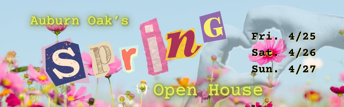 Spring Open House 2025