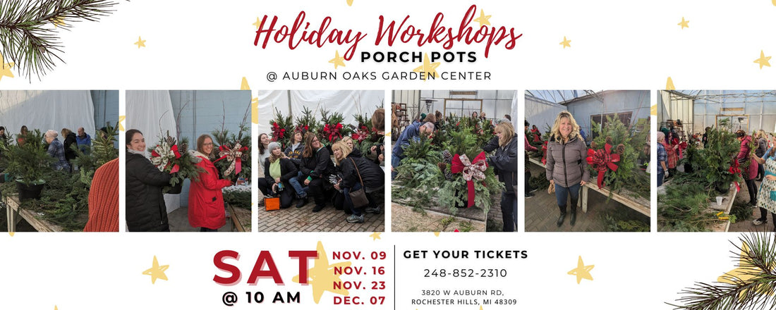 Holiday Workshop- Porch Pots