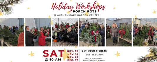 Holiday Workshop- Porch Pots