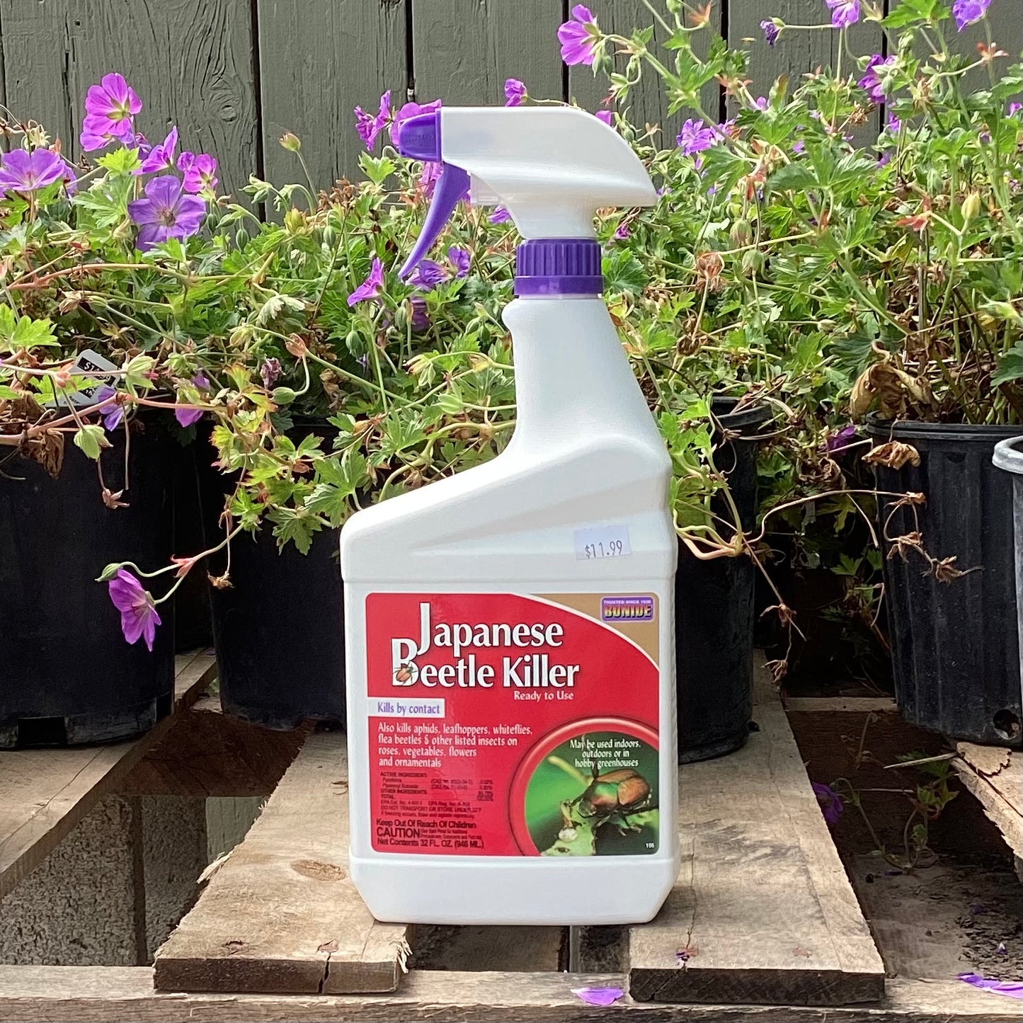 Bonide Japanese Beetle Killer
