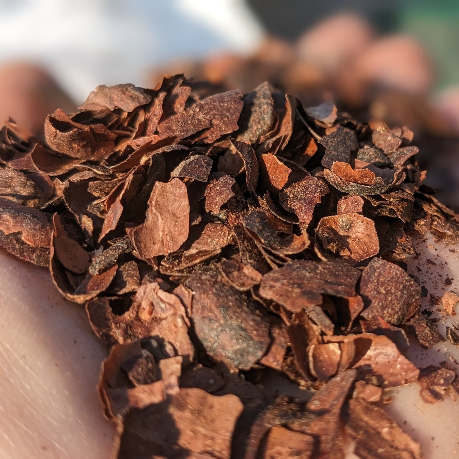 Cocoa Shell Mulch Auburn Oaks Garden Center