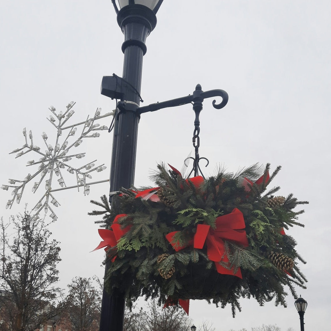 Hanging Basket with Greens