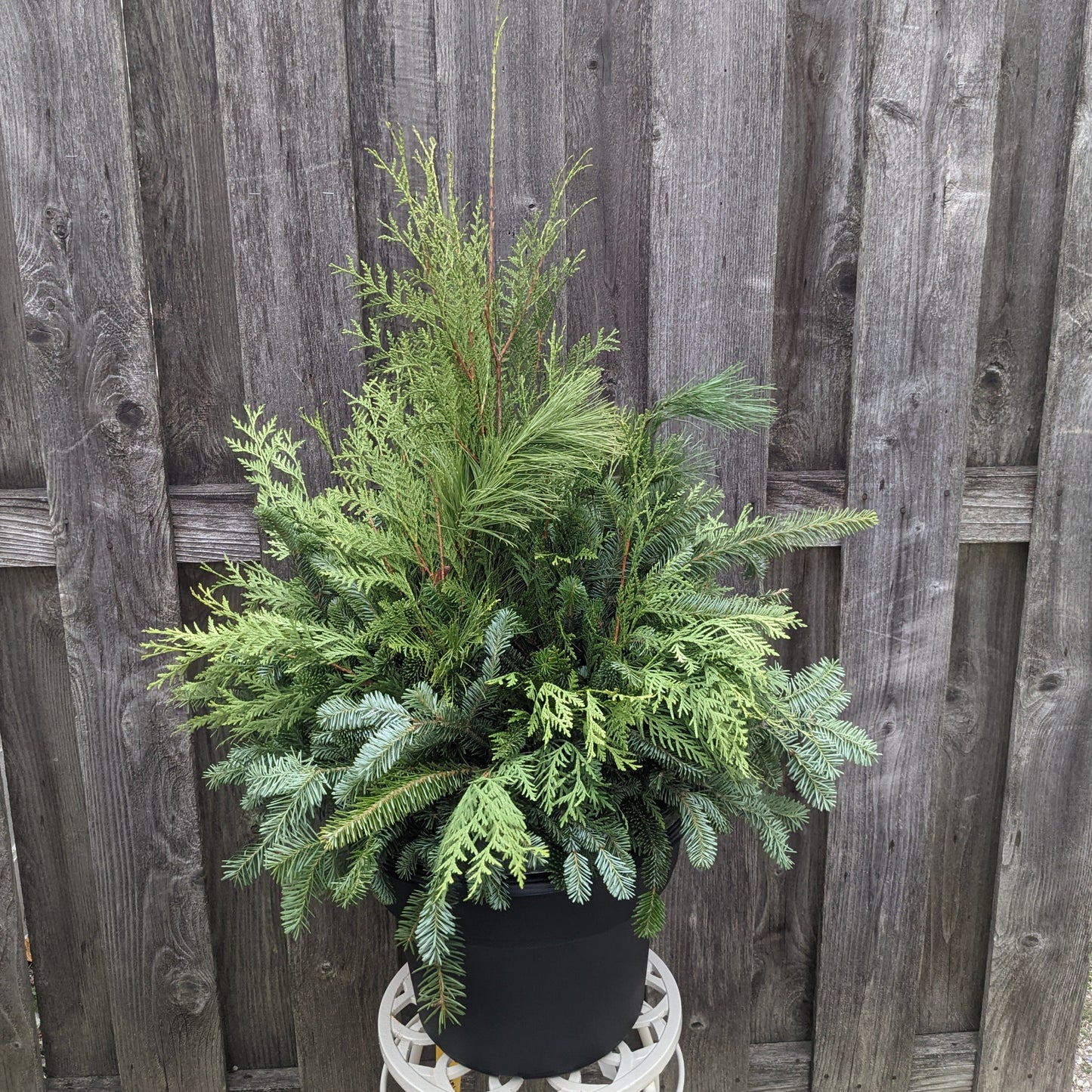 Holiday Workshop - Porch Pot