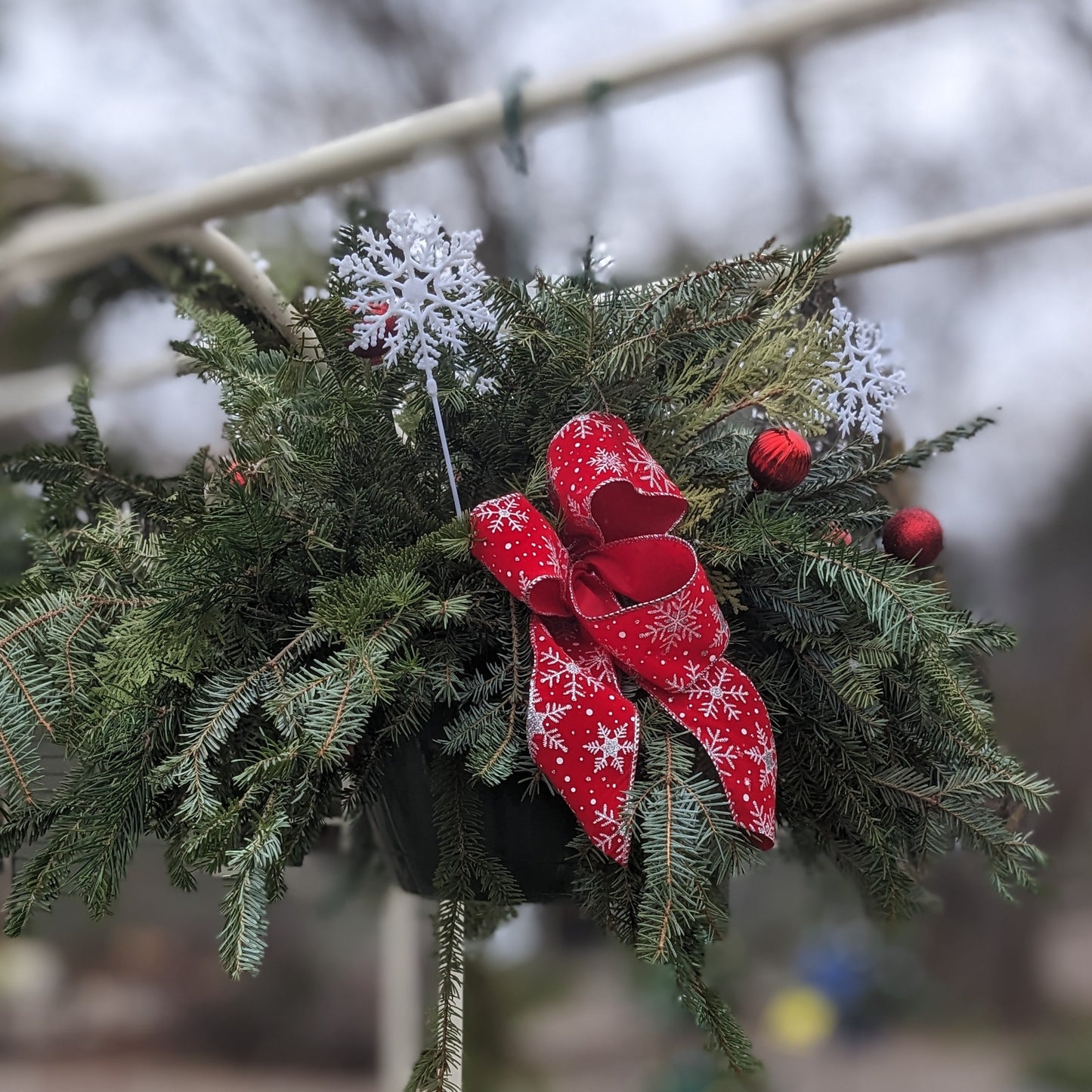 Hanging Basket with Greens