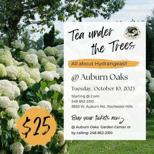 "Tea Under the Trees" Event - Tuesday, October 10, 2023 @ 2pm