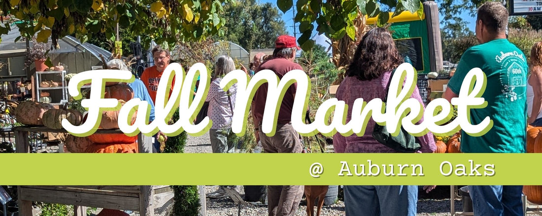2025 Fall Market @ Auburn Oaks Garden Center
