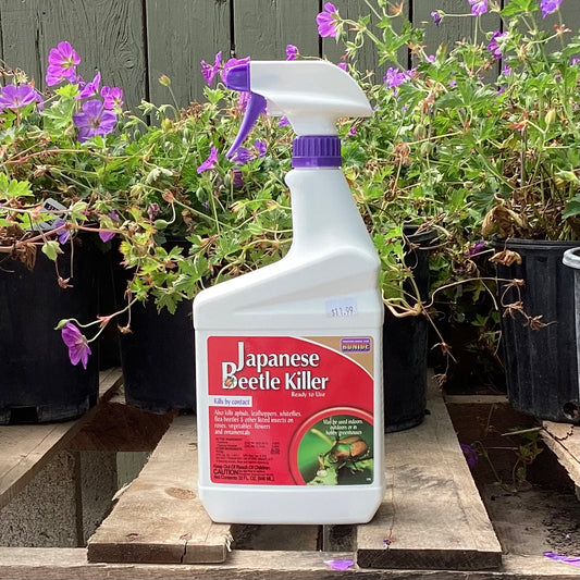 Bonide Japanese Beetle Killer