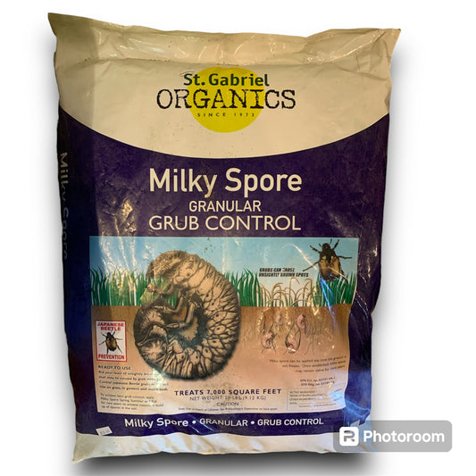 Milky Spore Grub Control