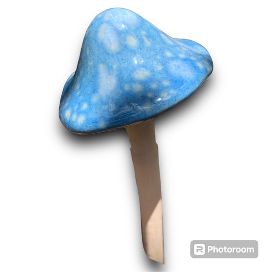 Bright Mushroom