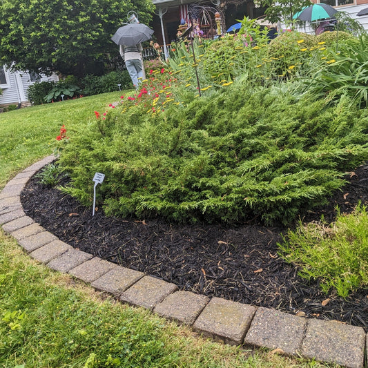 Calgary Carpet Juniper