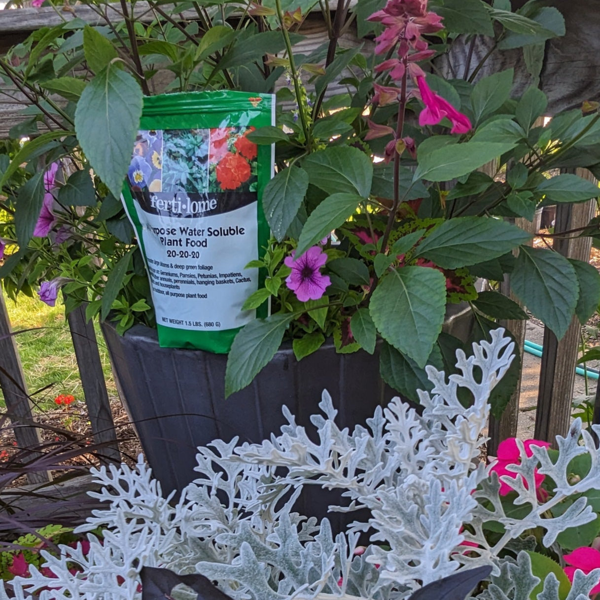 Fertilome All-Purpose Plant Food
