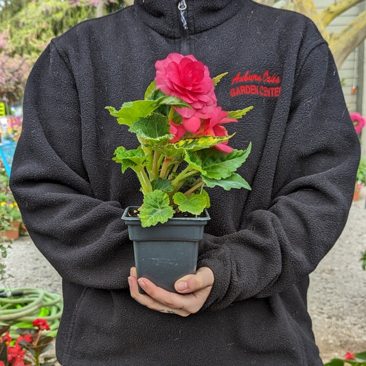 4.5" Annuals Square