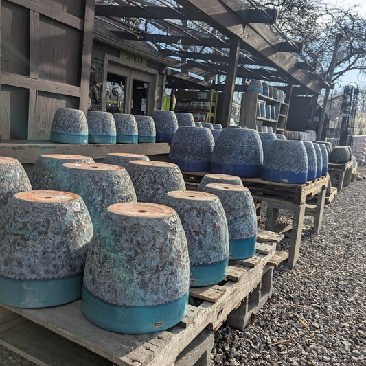 Egg Shaped Planters