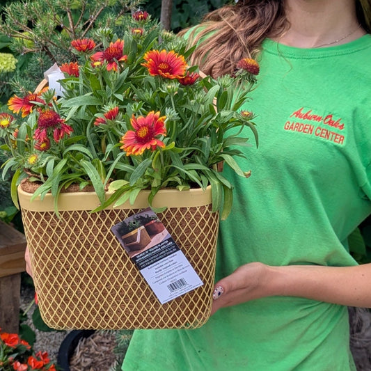 Multicolor Square Planter