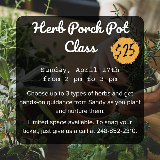 Herb Porch Pot Class