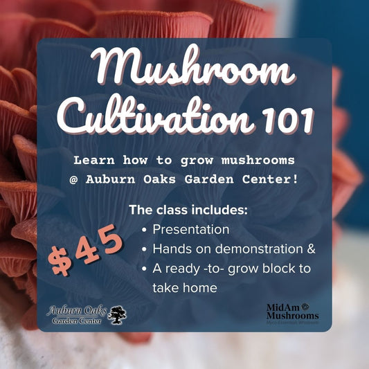 Mushroom Cultivation 101 Tickets