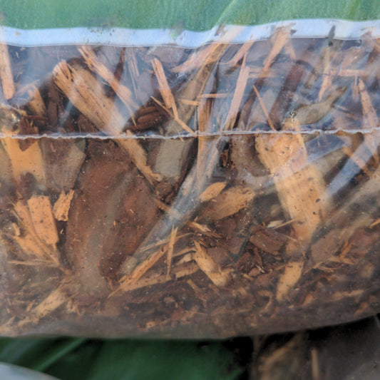 Pine Bark Mulch