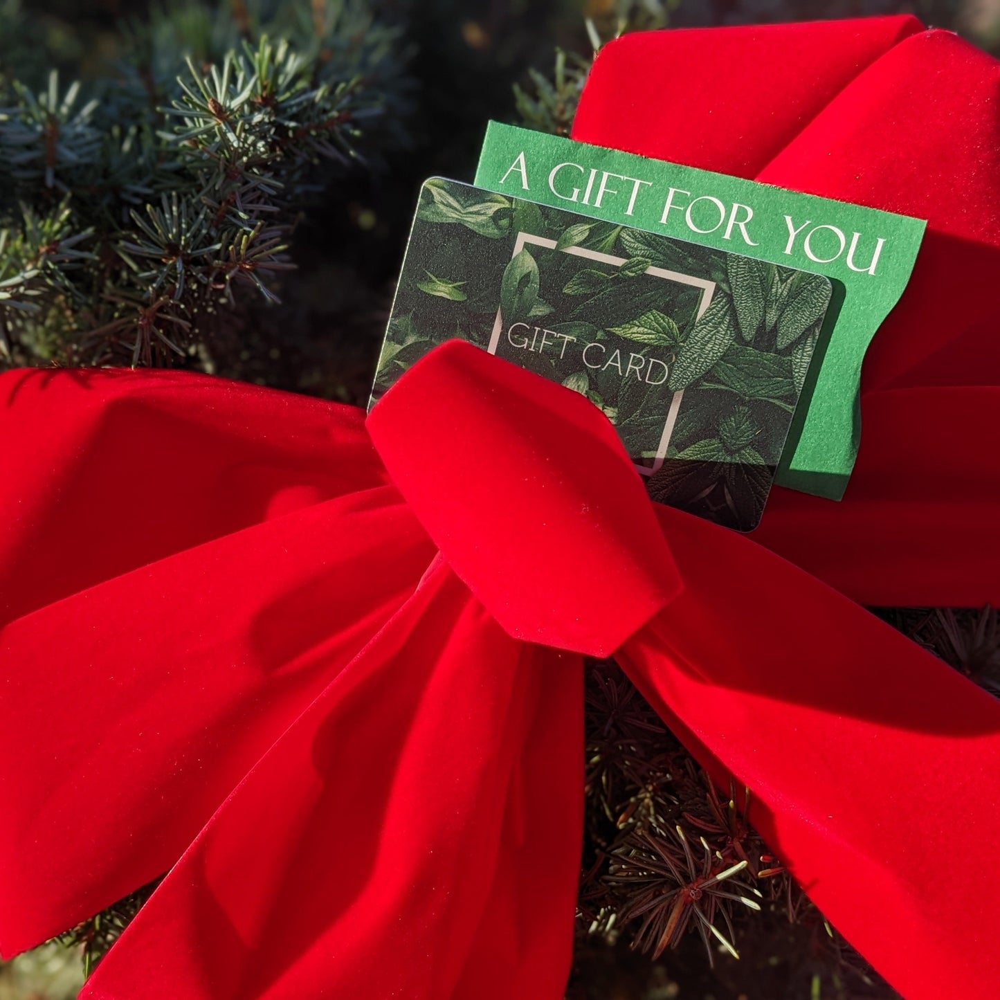 Auburn Oaks Gift Card