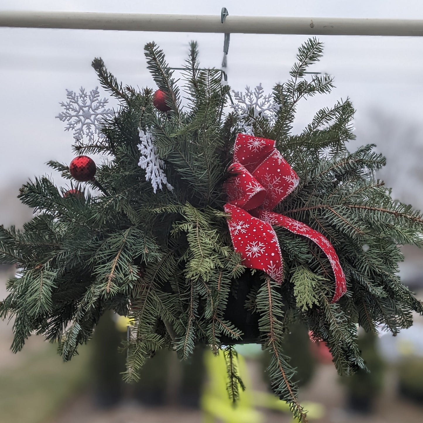 Hanging Basket with Greens